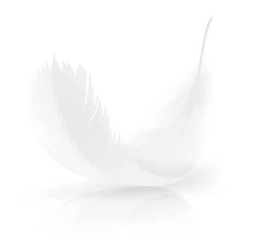 Feather