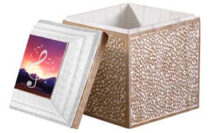 Trilogy Cremation Urn Vault