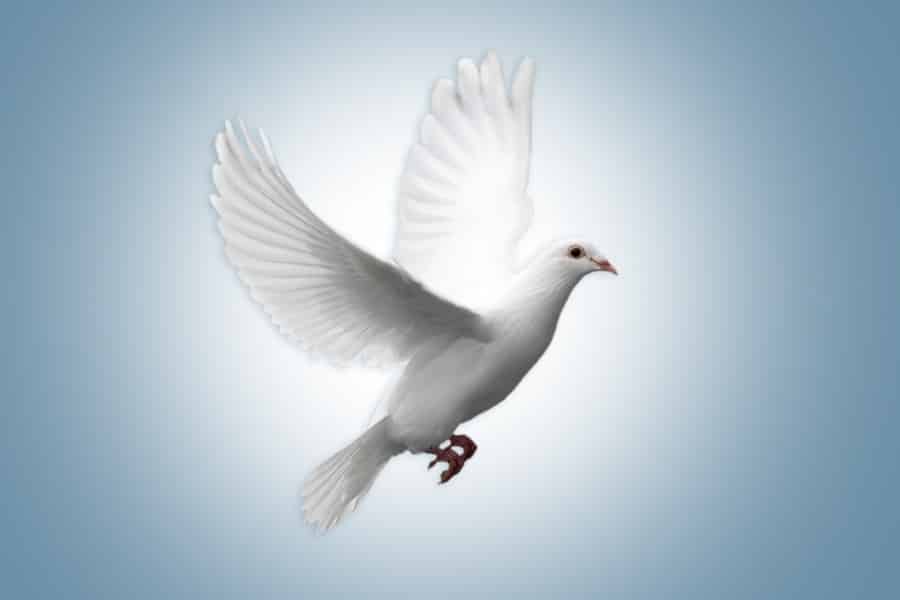 History of Mausoleums