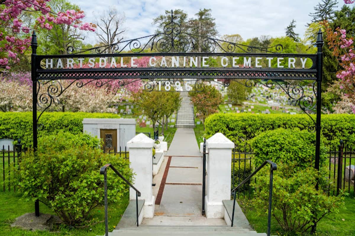 The entrance to a cemetery with bushes and trees. The sign says "Hartsdale Canine Cemetery 1896" 