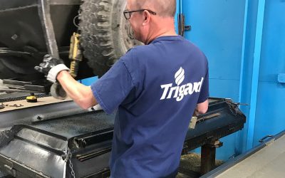 Trigard Mold Worker_web